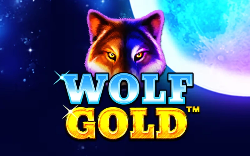 Trigger the wild features of the Wolf Gold slot at Melbet.